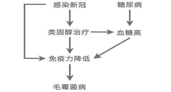 新冠肺炎|整个人“发霉”而死！一种可怕的疾病在印度暴发