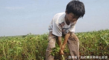 中国公安大学|“穷人家的孩子”一眼就能分辨出来?李玫瑾坦言:特征藏不住