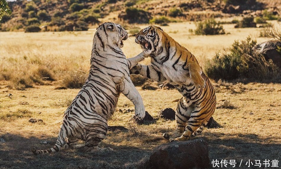 一吨水有多少公斤