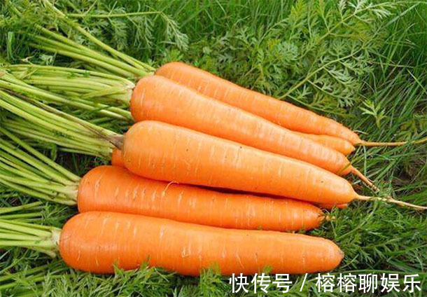 橘子|105岁长寿老人建议50岁后多吃“3物”,“长寿”自己找上门