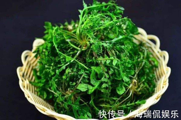 菜贩子|被称寄生虫“集中营”的4种蔬菜，宁可不吃也别碰，菜贩子从不吃