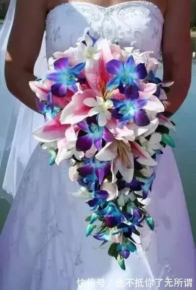 龟甲牡丹|世界上最名贵的花,一盆就是一座房子!