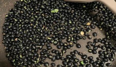 优质蛋白|天热多吃黑豆,教你正确吃法,不磨豆浆不泡醋,营养滋补精神足!