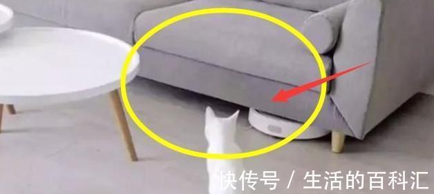 墙纸|望眼欲穿搬新房!却毁在这15个憾点上,一辈心血花光落一堆问题