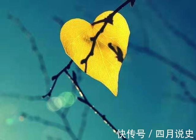 如泉#老来多健忘,唯不忘相思!