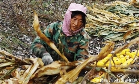 被告|94年一农妇挖出钻石,27万卖掉被告上法庭,后来怎么样了?