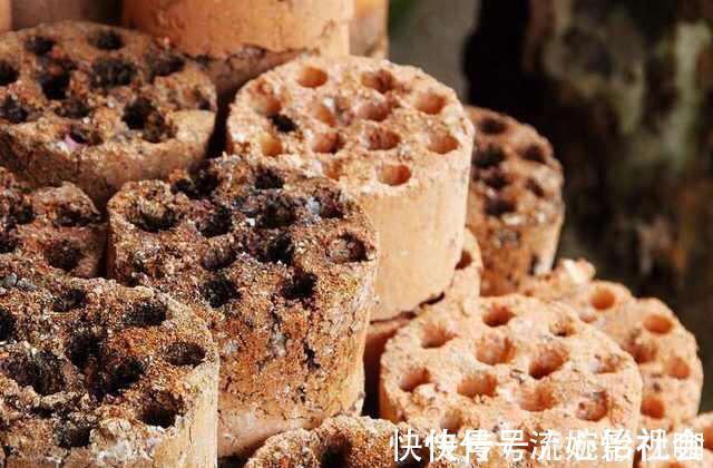 旧土|养花旧土别扔，“3样”东西加一点，土质肥沃，养花特旺，开花多