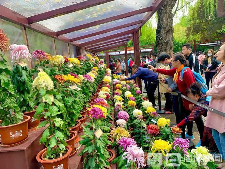 中国天文年历#诗话霜降丨风卷清云尽 空天万里霜