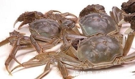 大厨|螃蟹能放冰箱冻多久大厨告诉你正确时间，说出来可能你不相信