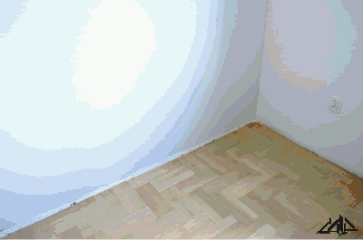 文化|一个鞋盒卖2000块！炒鞋盒成潮流文化 ？