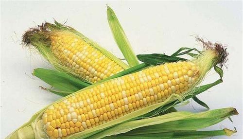 春天不想衰老，要多吃幾種食物，清熱解毒，預(yù)防早衰，誰吃誰變美