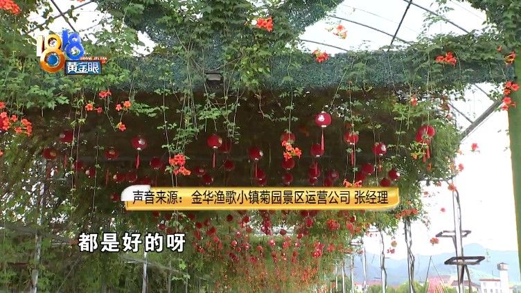 安全带|大人“参战”跷跷板，孩子牙齿受了伤