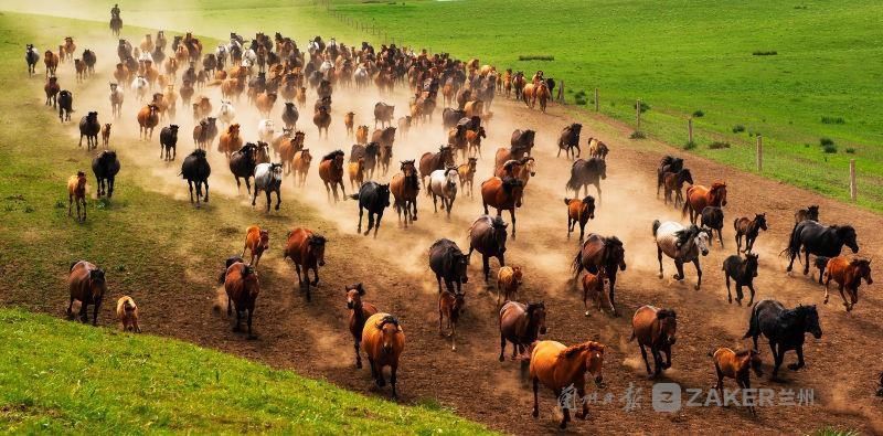 贵清山|2021新甘肃十大必去景区揭晓！这七个景区榜上有名