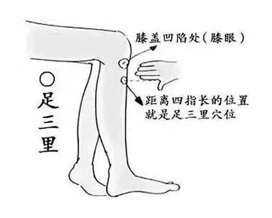 胃火|为什么有人狂吃不胖,有人喝水都胖今天终于找到答案了!