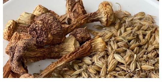 宫颈|HPV出现到宫颈癌，下身有2个“信号”，若没有，恭喜宫颈健康