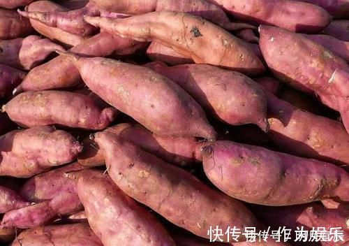 大错|保存红薯,直接丢地上是大错!学会这招,放半年都不坏,越放越甜
