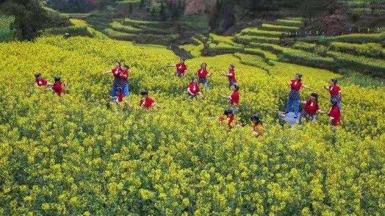 第七届华东油菜花十大胜地评选开幕