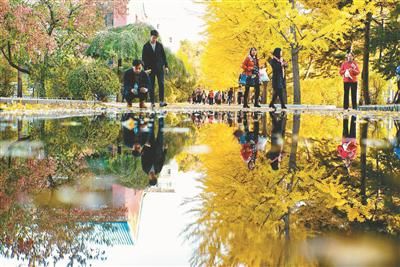 秋天|留住秋天的回忆