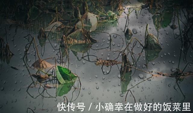 听雨词!蒋捷的这首听雨词,可谓是惊艳了时光,情景交融,无人能出其右!