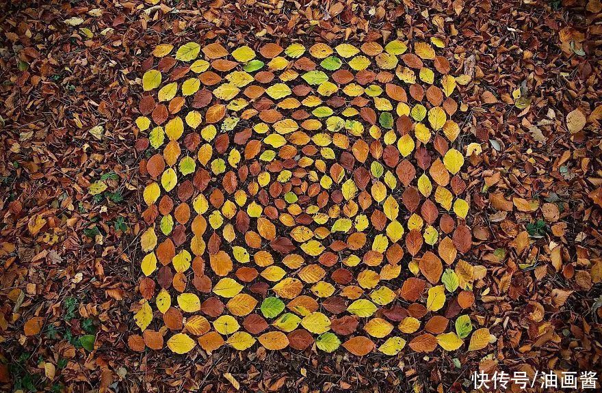 詹姆斯|艺术家用石头和树叶“作画”,网友直呼:太解压,治愈强迫症