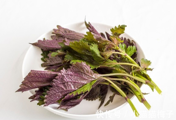 益母草|66种野菜大图片，带你见识不同的野菜和吃法，你想要的野菜这里有