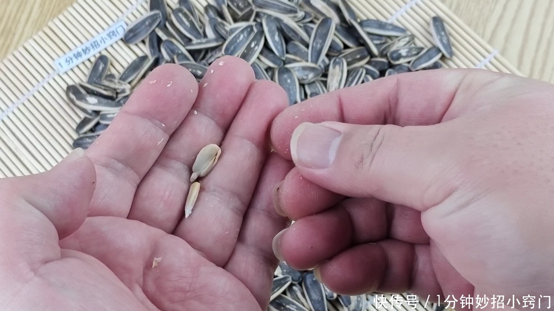 瓜子|瓜子谁还用手剥?只需一个窗帘挂钩,分分钟剥一盘,不脏嘴不伤手