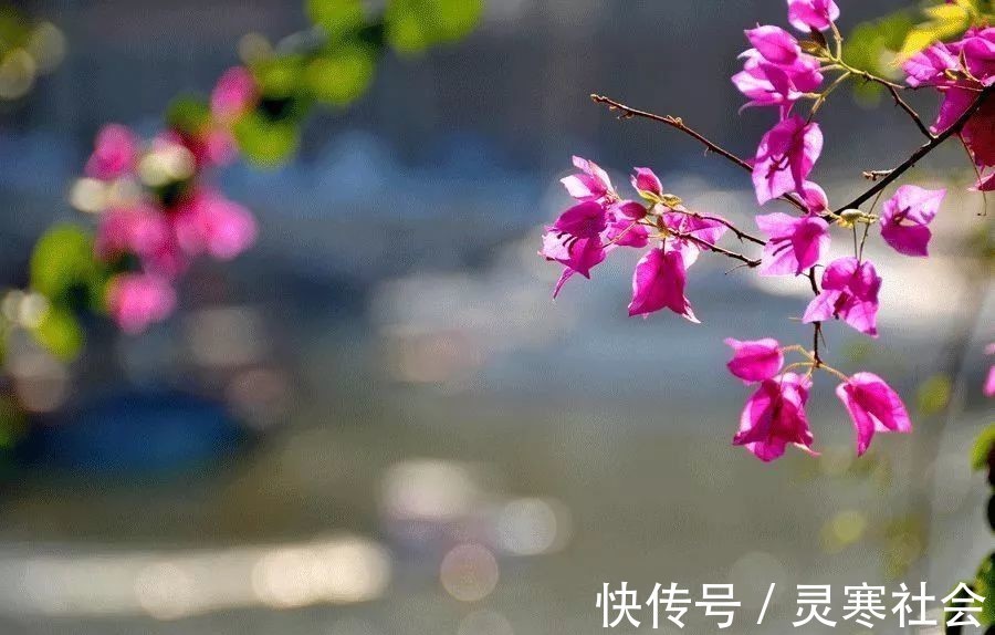 凶德!曾国藩10句话,让你明白天下事,看清天下人