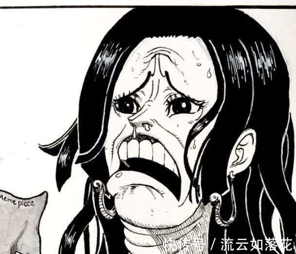 表情包|海贼王的表情包,尾田贡献了一部分,网友制作了一部分,别看女帝