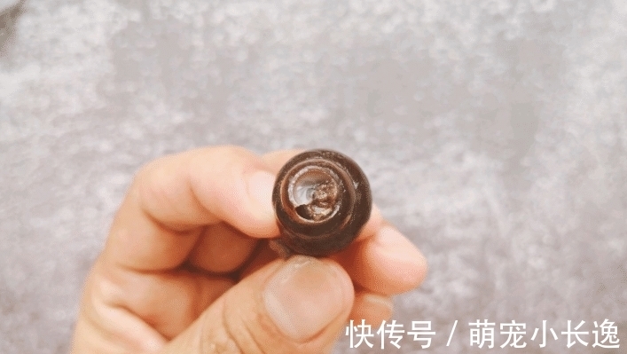 它被誉为“淡水鲍鱼”,钙是牛奶10倍,是海参6倍,才卖10元1斤