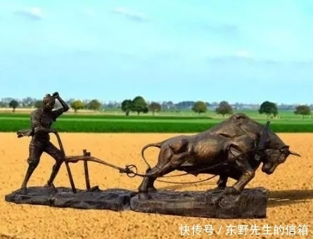 涨知识:牛为什么“牛”,话说农耕中的牛