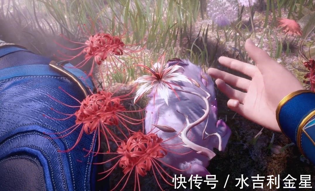 献祭|斗罗大陆唐三牺牲五大魂环复活小舞,小舞完成海神考验,成封号斗罗