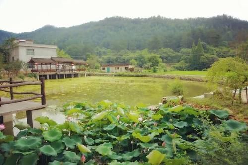 丁际耀‖苍葭冲八景