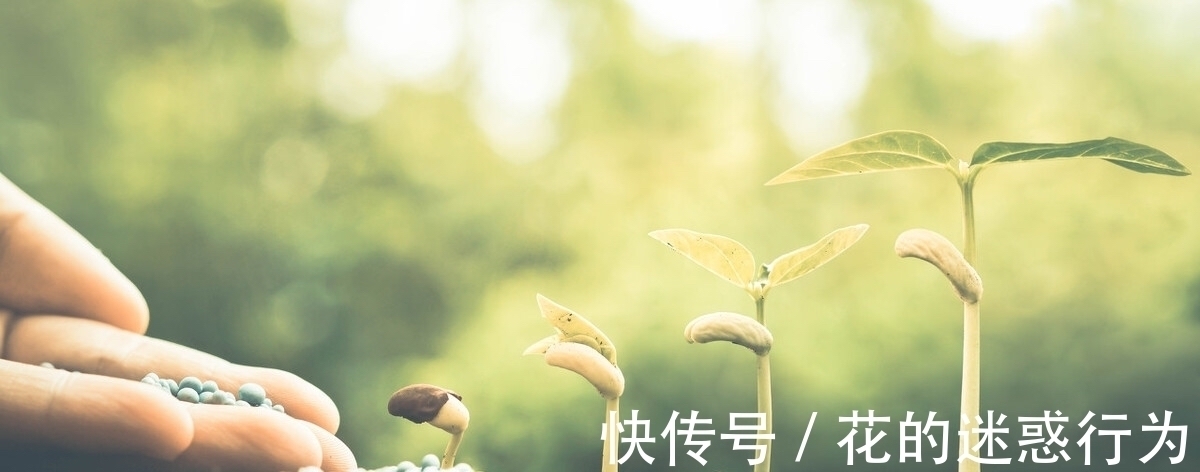 现代文明倒逼人生的目的与意义,我们再也不能拒绝回答!