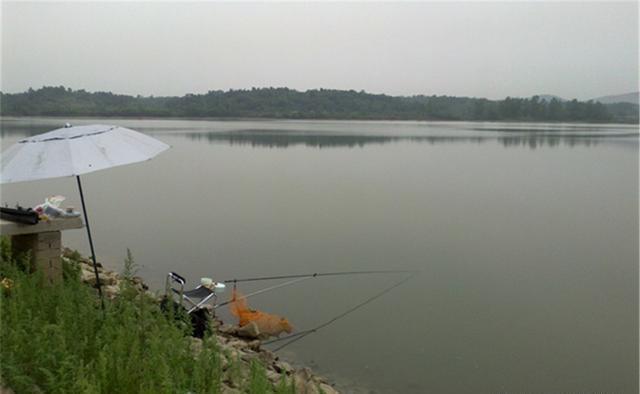 阴转晴|钓鱼与天气：阴天闷热气压低，鱼就一定难钓？夏季阴天如何钓鱼？