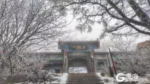 腊八冰雪送福，崂山巨峰现雾凇景观