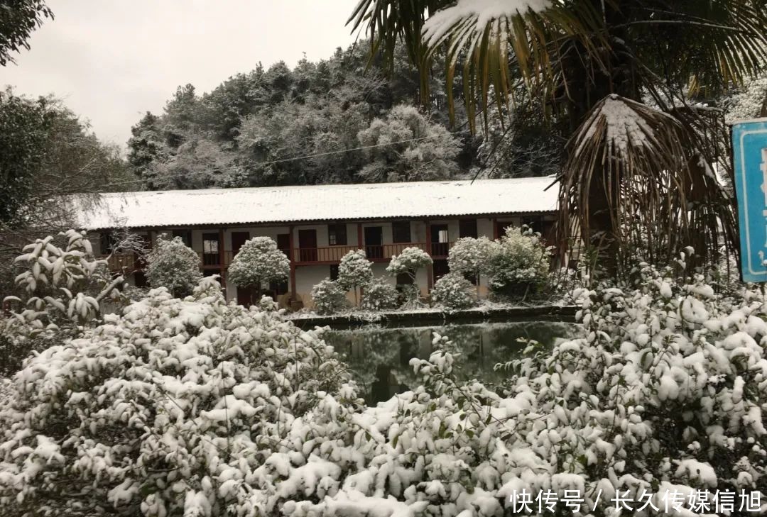 惊艳|惊艳！苍溪九龙山雪景美到cry！