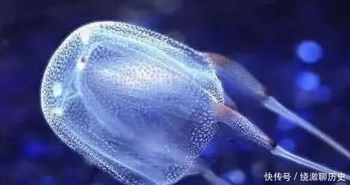 吉尼斯纪录:世界上最小的蛇,最后的只要被它射中30秒便会死