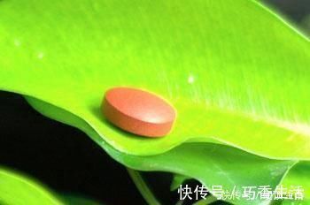 爸爸|爸爸姓周,给双胞胎宝宝取名字,宝妈听后羞红了脸,网友大呼有才