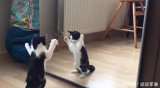 特点|心理学:你挤牙膏的方式,其实暴露了你性格特点