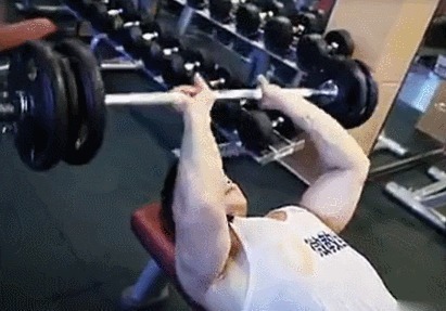 杠铃|世界上最粗的肱二头肌原来是这样练成的4个高效手臂训练给到你