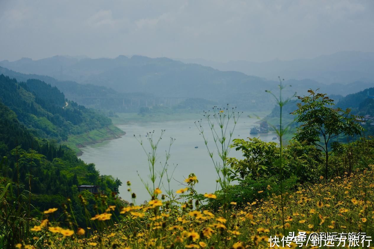 武陵山国家森林公园|打卡江城涪陵，玩转绝美山水秘境，有这篇攻略GO了