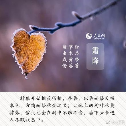 萝卜$今日霜降,大人、孩子多吃这些蔬菜,对身体最好