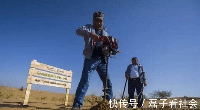 马云|2年了,马云“天价”造的蚂蚁森林,现在长成啥样了成森林了吗