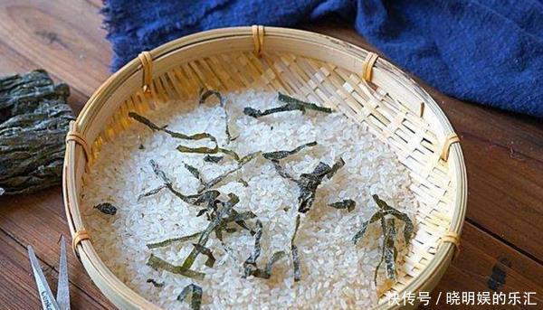 5个保存大米的小技巧,此做法,大米不生虫,不霉变,久放不变味