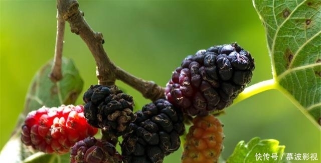 不妨|男性开始衰老时,身体往往有6个信号,不妨自查一下