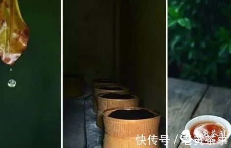 不懂岩韵,你敢说自己懂岩茶?