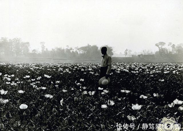 吸食|老照片：吸食鸦片的清朝人，女子床上迷迷糊糊，男子瘦成皮包骨头