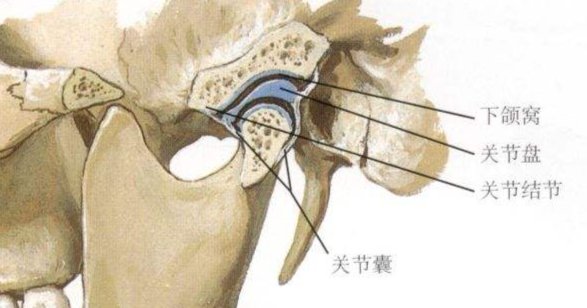 颞下颌关节|【警惕】张口就疼、嘴巴张不开，你可能得了这种病！