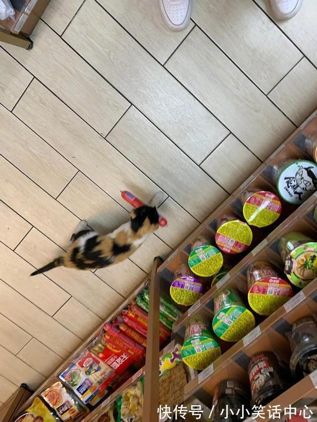 |今日笑话:关于前任,男生和女生不同看法