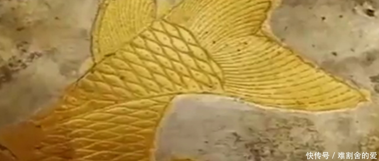 土司|这座700年古墓里藏有大量黄金,却没有被盗,专家都看傻眼!